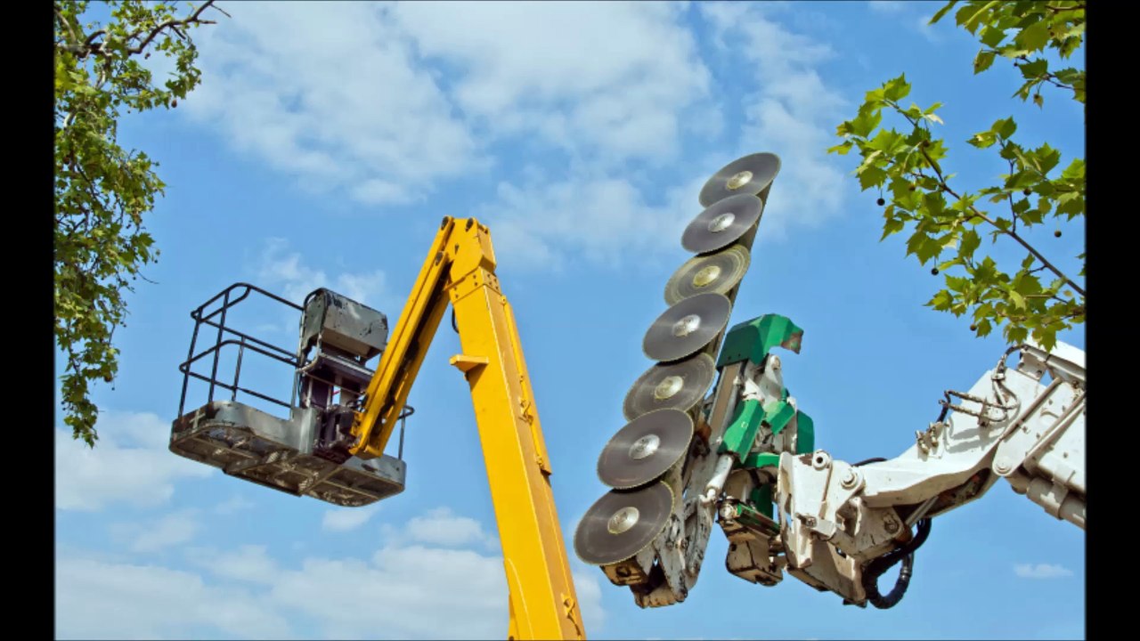 McPeak's Complete Tree and Landscaping - (540)...