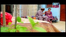Haal e Dil Episode 180 in High Quality on Ary Zindagi 20th July 2017