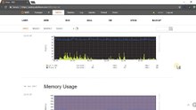 How to check server and accounts' stats in Vesta