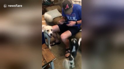 Emotional moment man finds out his wife is pregnant