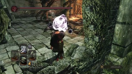 DARK SOULS™ II: Não fugirás do Bravo Bruxo do Bosque