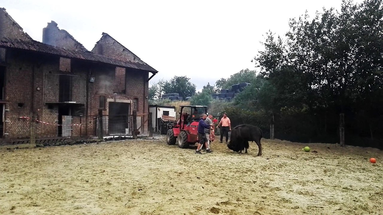 Incendie à Tilly
