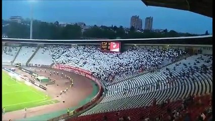 Delije - Koreografija / Crvena zvezda - Irtis 20.07.2017.