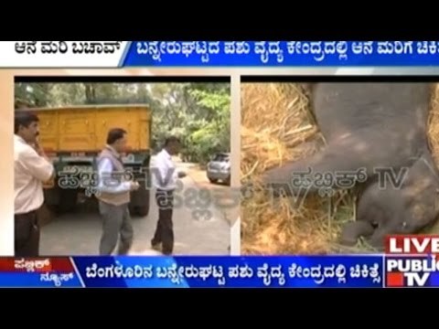 Public News | Top Stories | Sep 6th, 2015 | 4.00 PM