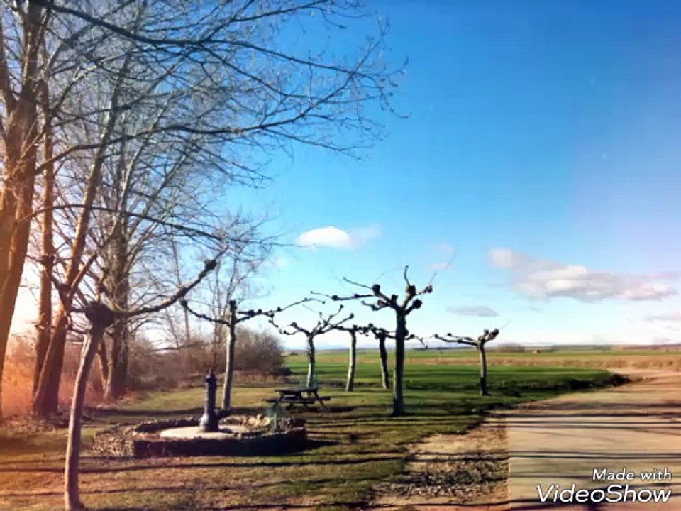 Abia de las Torres, Palencia, España / Spain