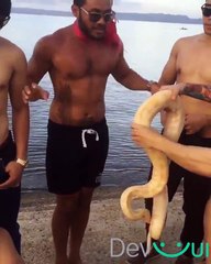 Khi tui tiếp xúc với Python ngày đầu =))) [FUNNY... - Hội những dev vui tính