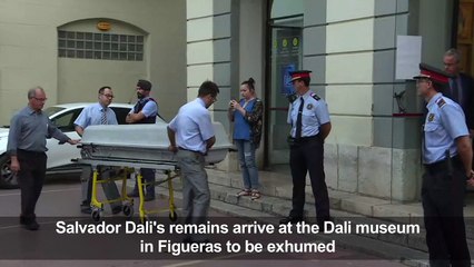 Are you my surreal dad? Dali being exhumed in paternity case
