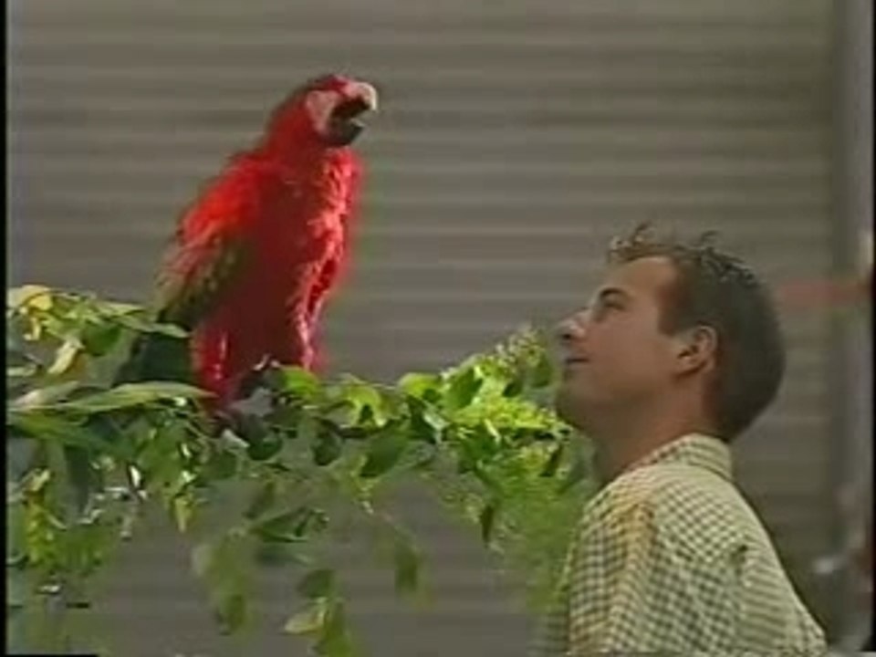 Dutch TV (Jules Unlimited) Interviews Animal Makers, Inc.