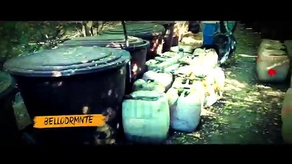 Maximo Grado (Cristian Felix) El Mayo Zambada (MZ) #VideoResuvido 2017 By bdmnte