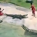 Femijet luajne me krokodilin 3 metra te gjate, por shokuese cfare ndodh me pas