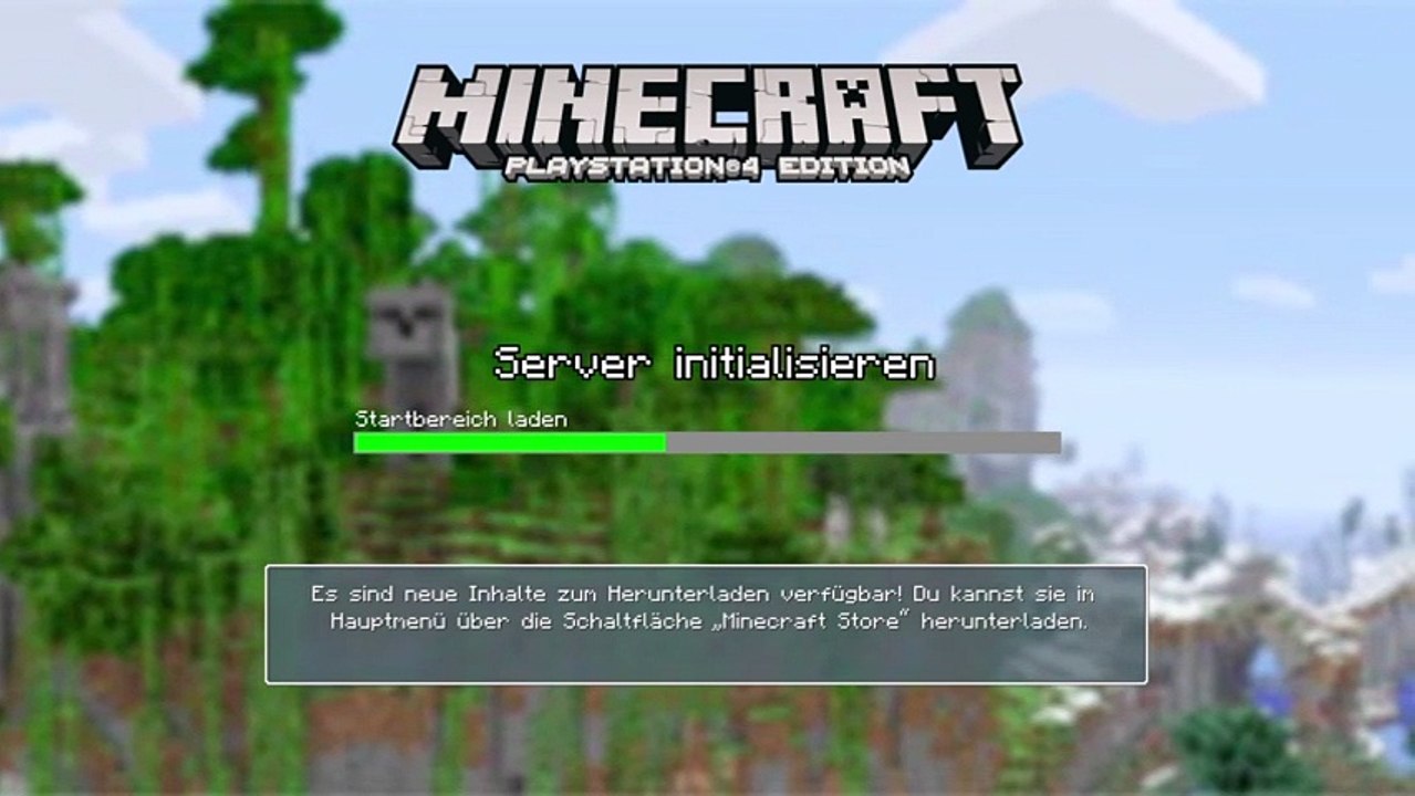 Minecraft und jetzt ich (5)