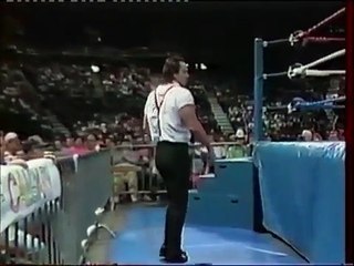 Bret Hart vs. IRS WWF 1991