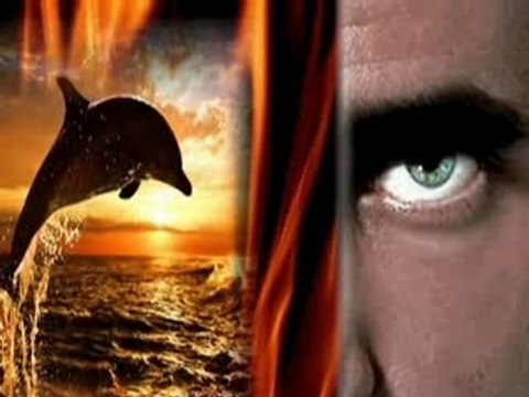 johnny hallyday , bob marley , tiken jah facoly, dallazw