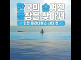 [한국의 숨은 풀장을 찾아서 - 힐튼 부산 편]