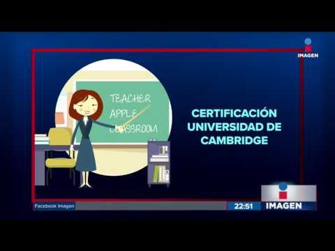 Maestros de inglés en México ahora ganarán más de 21 mil pesos | Noticias con Ciro Gómez Leyva