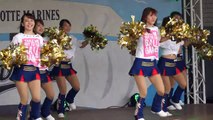 千葉ロッテ チアリーダー  M☆Splash!! 2017 MDA Theme song『HIKARI』