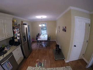 Puppy Holding "Place" Command During Dinner Time - Timelapse - Rottweiler