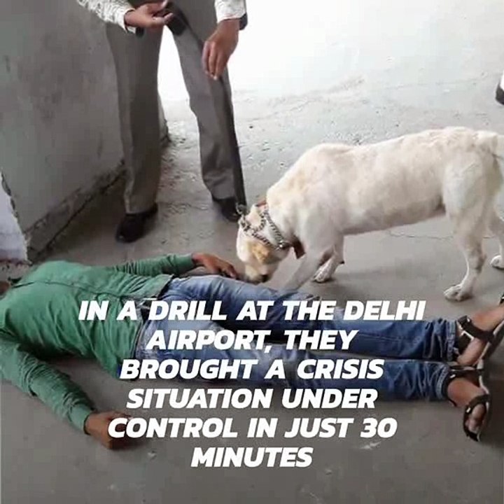 Delhi's SWAT, NSG and CISF teams have been busy
