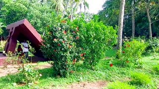 Veli Lake and Tourist Village, trivandrum   Kerala To
