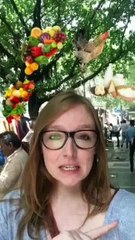 Do you think Momos should be Banned