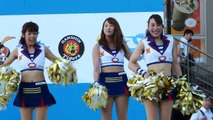 千葉ロッテマリーンズ球団歌 M☆Splash!! 『We Love Marines』2017 マイナビ オールスターゲーム 前夜祭