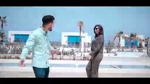 DJ Hamida feat. Zouhair Bahaoui - Habibi (clip officiel)