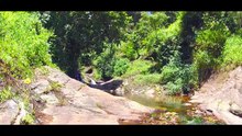 munnar untouched deep forest   the most beautiful place in india   Kera