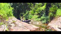 munnar untouched deep forest   the most beautiful place in india   Kerala touri