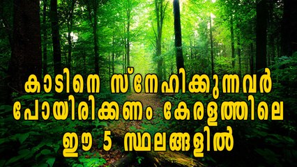 5 Best Forest Destinations In Kerala | Oneindia Malayalam