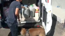 Dedektör Köpeği 'Akrep' Uyuşturucuya Geçit Vermiyor