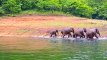 Thekkady wildlife sanctuary, Periyar Tiger Reserve - HD   munnar kerala to