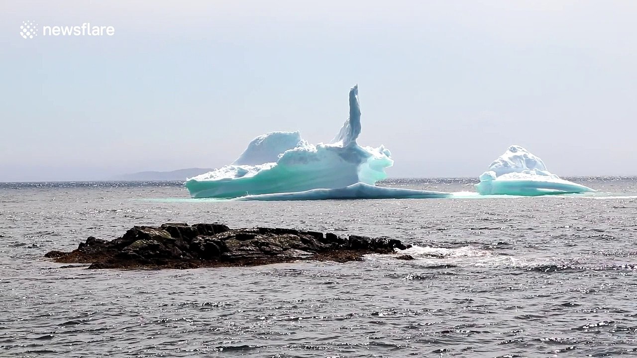 Iceberg calving in Newfoundland, Canada