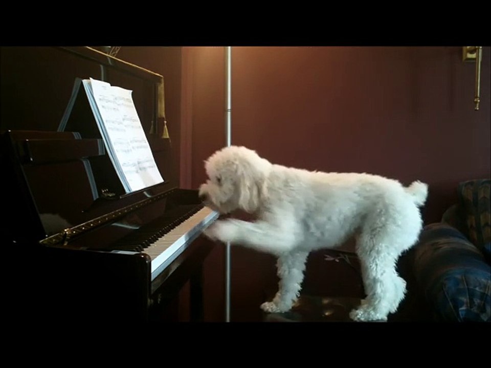 Tucker piano Movie