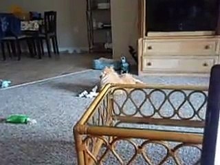 More of what would you do if you had this or that?