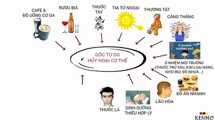 Nước kenho - Bạn đã biết về loại nước tốt cho sức khỏe