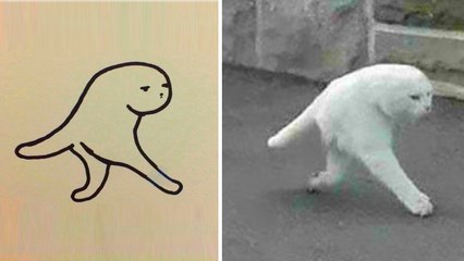 Video herunterladen: Funny and Photorealistic Drawings of Cats