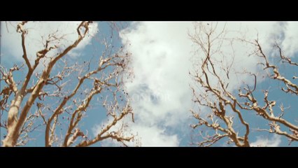 LE SECRET DE LA CHAMBRE NOIRE (2015) WEB-Rip TrueFrench (1080p_24fps_H264-128kbit_AAC)