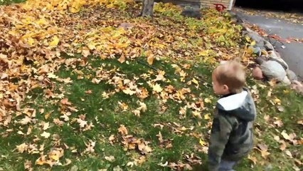 Il balance son fils dans le tas de feuilles mais ne s'attendait pas à ça(1)