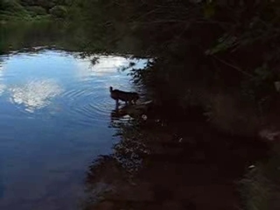 seb a la peche