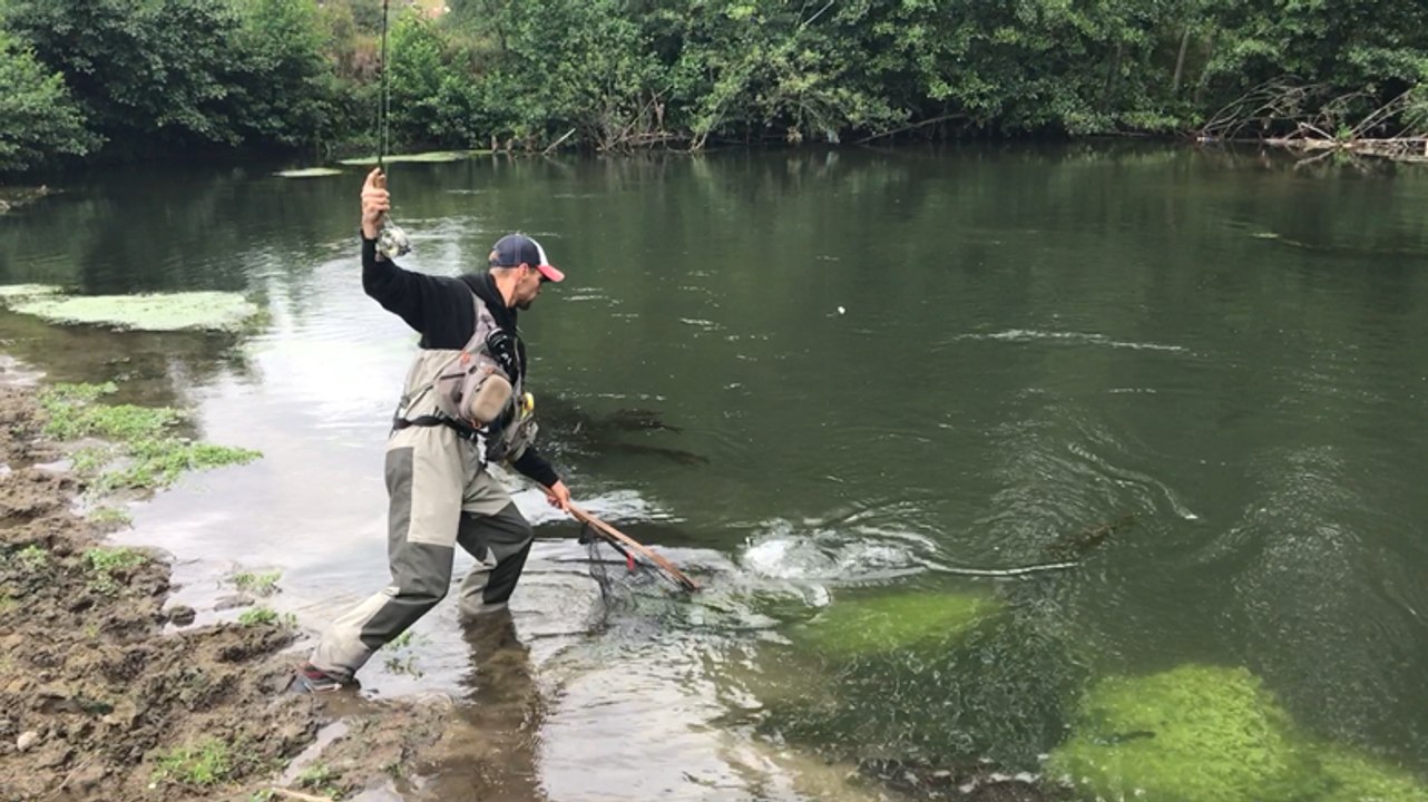 Pêche de truite de mer dans la Touques