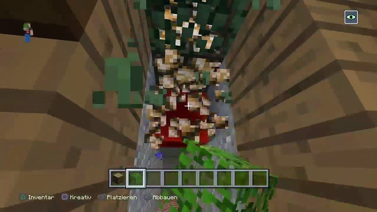 Minecraft und jetzt ich (6)