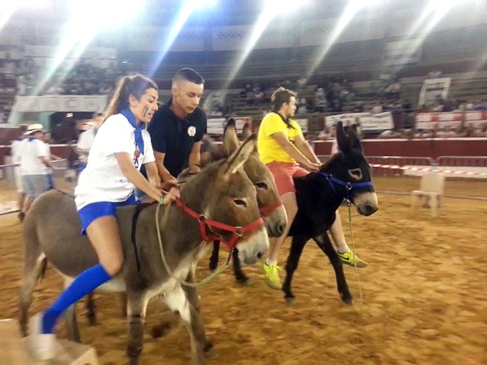 Madeleine 2017 : du basket à dos d'ânes pour Festi Class'