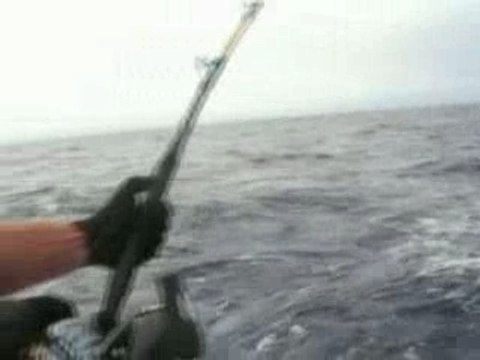 combat 4h15 avec thon rouge bosniac seriola& poisson rouge