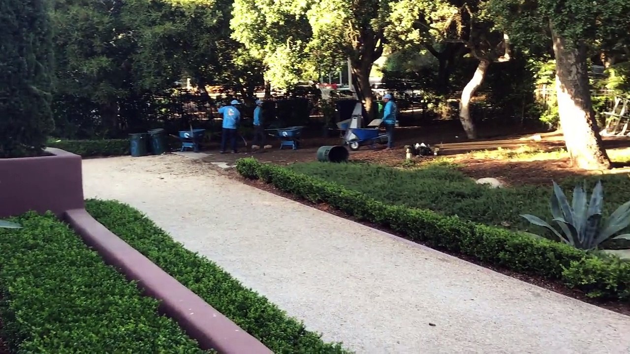 Leaf blowing, power washing, irrigation, mulch and plant installation project