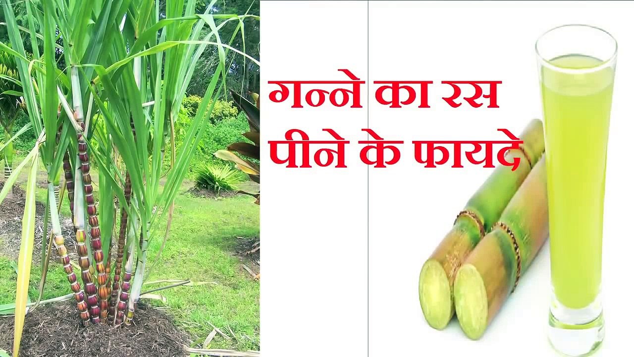 Benefits of Sugarcane Juice for Weight Loss video Dailymotion