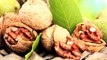 Benefits of Eating Walnuts, Akhrot Ke Fayade