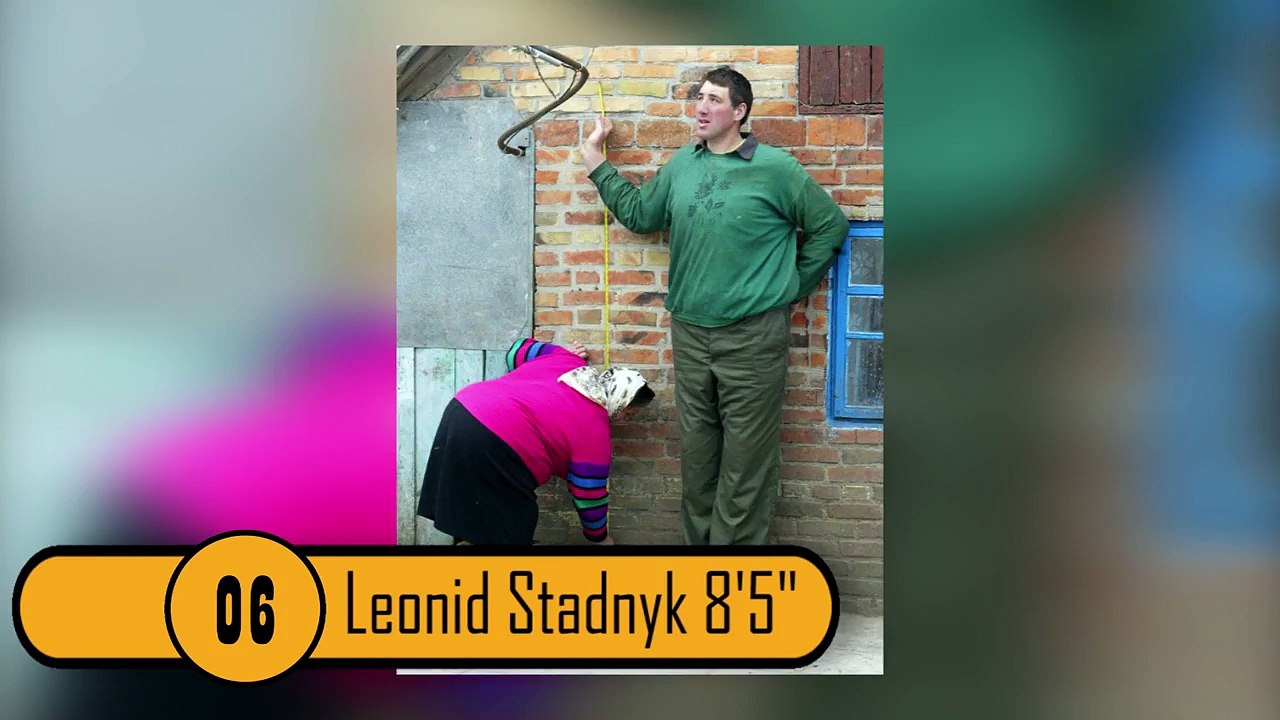 Top 10 Real Life Giants