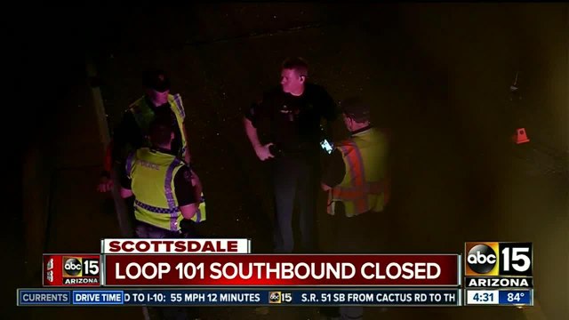 Wrong-way driver killed in Loop 101 crash