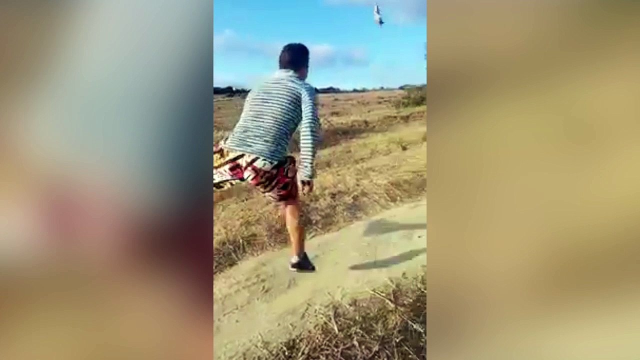 La policía lo busca por patear a este conejo con crueldad