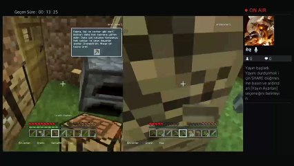 Minecraft (25)